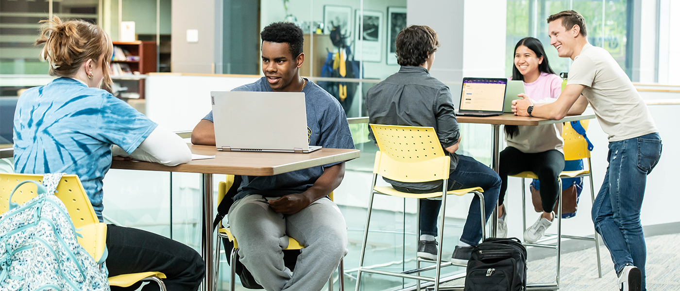 Image of students working on laptops