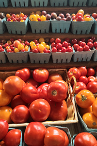 Tomatoes grown by Liz Wagner, '11, and her team at Crooked Row Farm.