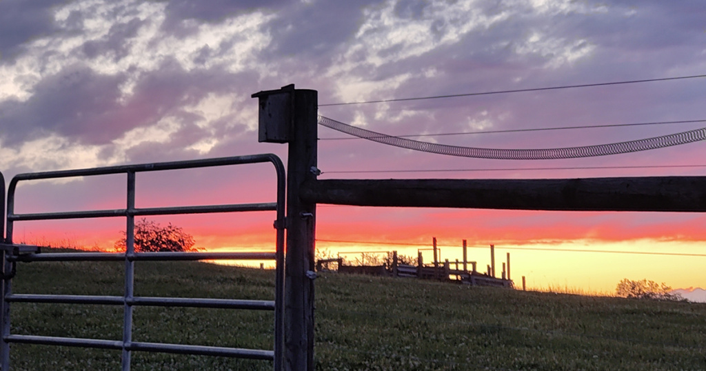Sunrise at Crooked Row Farm, owned and run by Liz Wagner, '11.